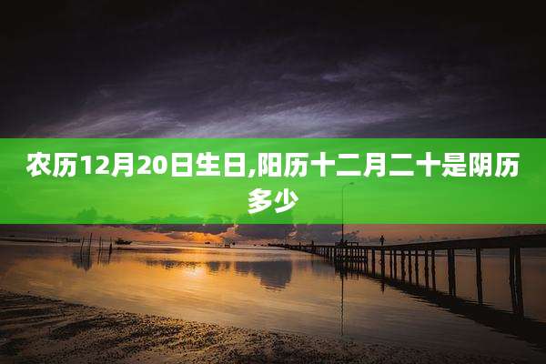 农历12月20日生日,阳历十二月二十是阴历多少