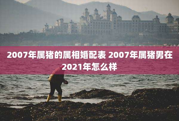 2007年属猪的属相婚配表 2007年属猪男在2021年怎么样