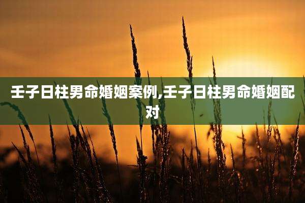 壬子日柱男命婚姻案例,壬子日柱男命婚姻配对