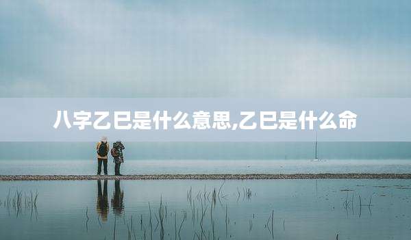 八字乙巳是什么意思,乙巳是什么命