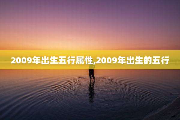 2009年出生五行属性,2009年出生的五行