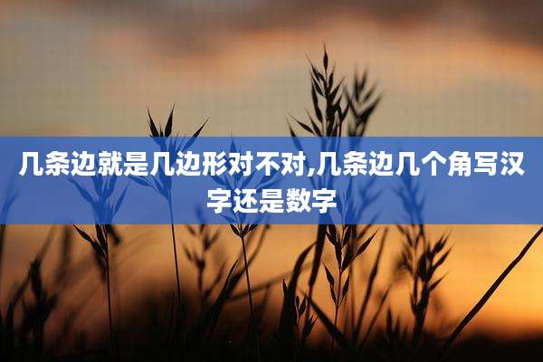 几条边就是几边形对不对,几条边几个角写汉字还是数字