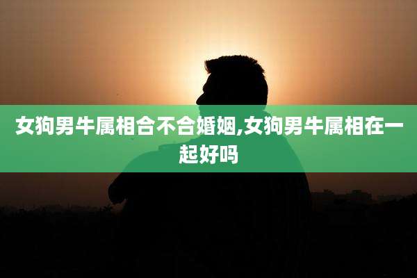 女狗男牛属相合不合婚姻,女狗男牛属相在一起好吗