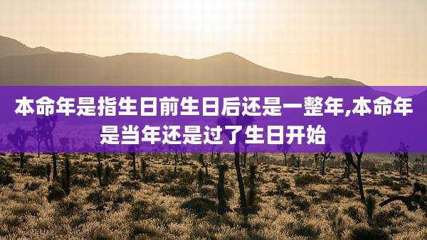 本命年是指生日前生日后还是一整年,本命年是当年还是过了生日开始