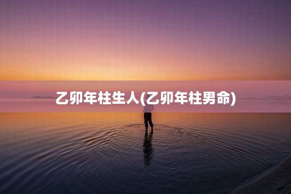 乙卯年柱生人(乙卯年柱男命)