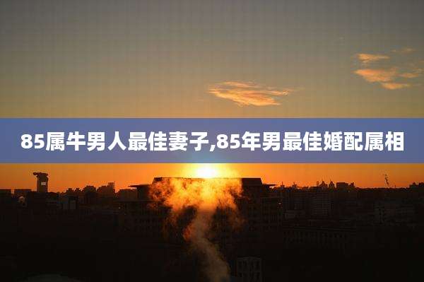 85属牛男人最佳妻子,85年男最佳婚配属相
