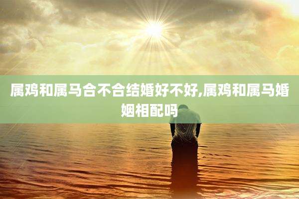 属鸡和属马合不合结婚好不好,属鸡和属马婚姻相配吗