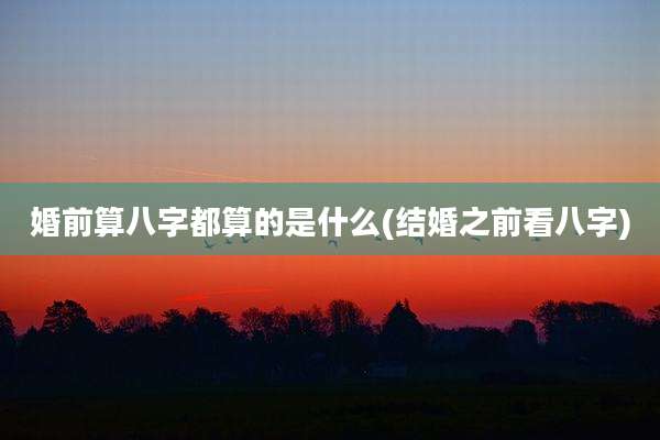 婚前算八字都算的是什么(结婚之前看八字)