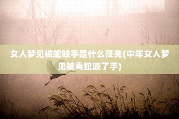 女人梦见被蛇咬手是什么征兆(中年女人梦见被毒蛇咬了手)