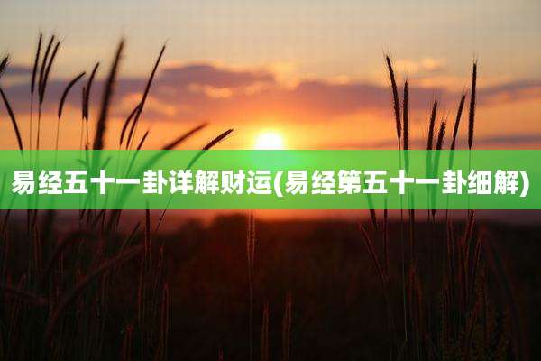 易经五十一卦详解财运(易经第五十一卦细解)