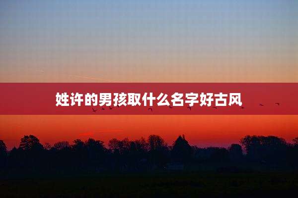 姓许的男孩取什么名字好古风