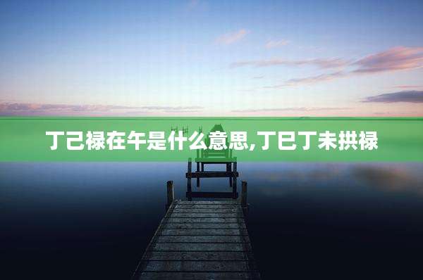 丁己禄在午是什么意思,丁巳丁未拱禄