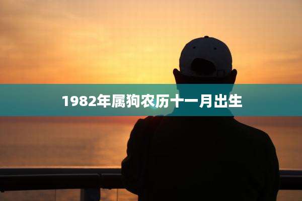 1982年属狗农历十一月出生