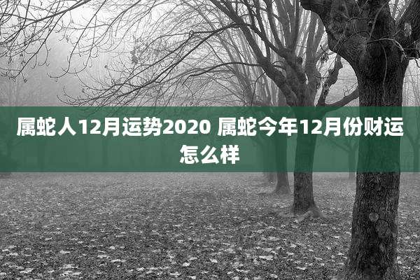 属蛇人12月运势2020 属蛇今年12月份财运怎么样