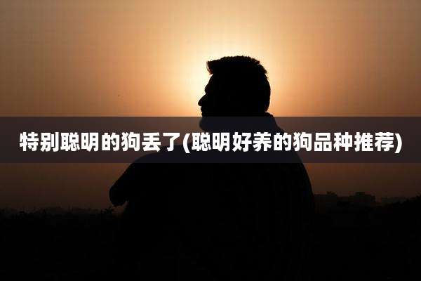 特别聪明的狗丢了(聪明好养的狗品种推荐)