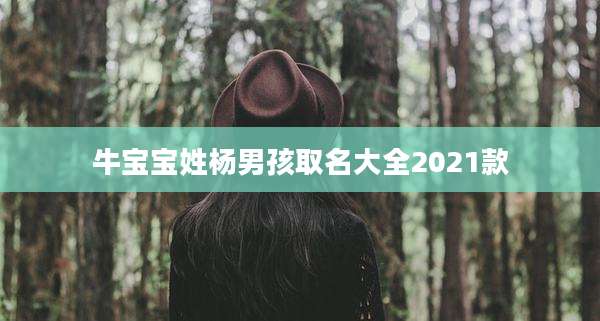 牛宝宝姓杨男孩取名大全2021款