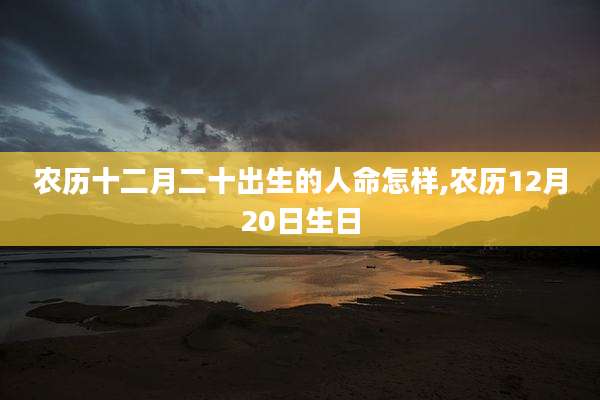 农历十二月二十出生的人命怎样,农历12月20日生日