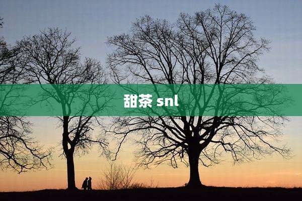 甜茶 snl