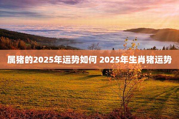 属猪的2025年运势如何 2025年生肖猪运势