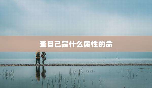 查自己是什么属性的命