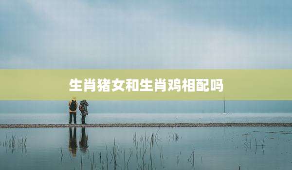 生肖猪女和生肖鸡相配吗