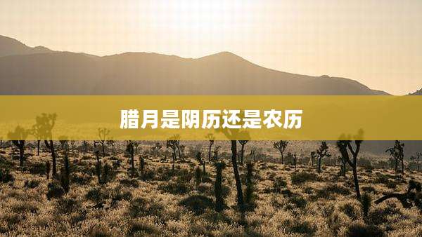 腊月是阴历还是农历