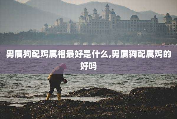 男属狗配鸡属相最好是什么,男属狗配属鸡的好吗