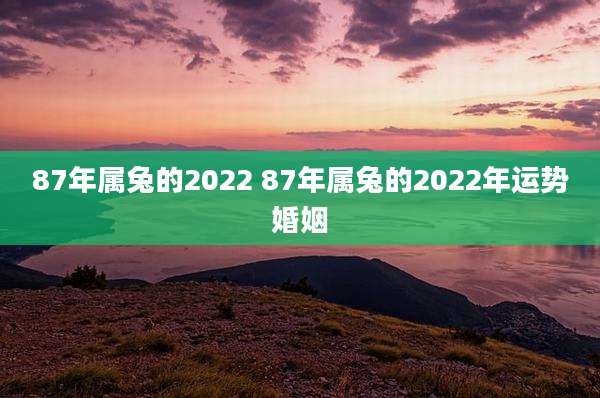 87年属兔的2022 87年属兔的2022年运势婚姻