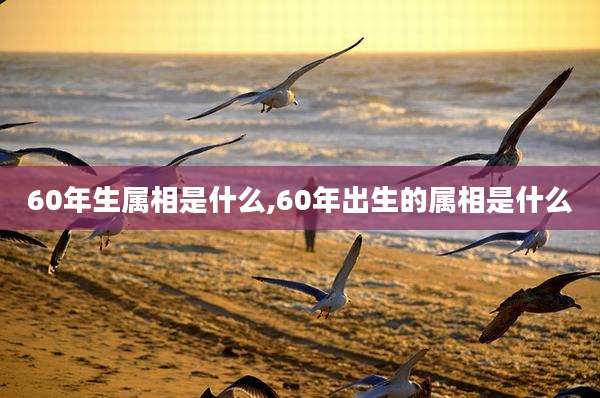 60年生属相是什么,60年出生的属相是什么