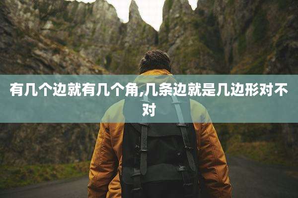 有几个边就有几个角,几条边就是几边形对不对