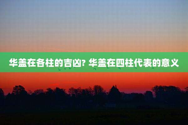 华盖在各柱的吉凶? 华盖在四柱代表的意义