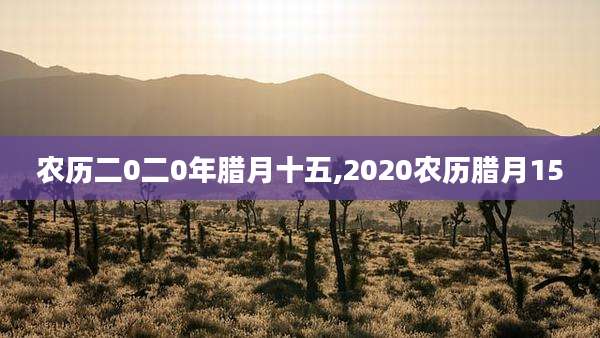 农历二0二0年腊月十五,2020农历腊月15