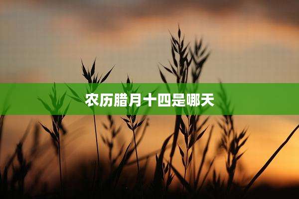 农历腊月十四是哪天