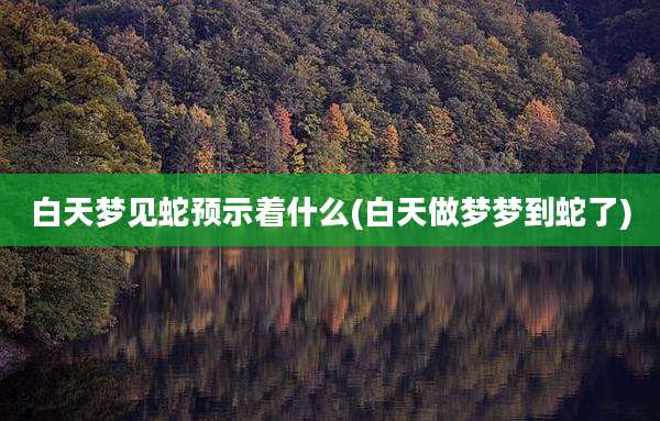 白天梦见蛇预示着什么(白天做梦梦到蛇了)