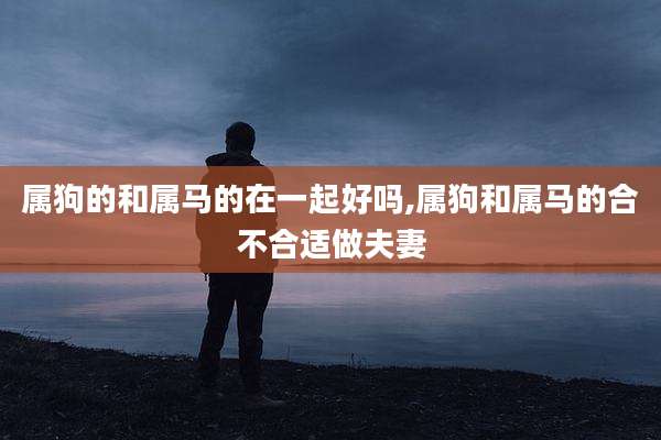 属狗的和属马的在一起好吗,属狗和属马的合不合适做夫妻