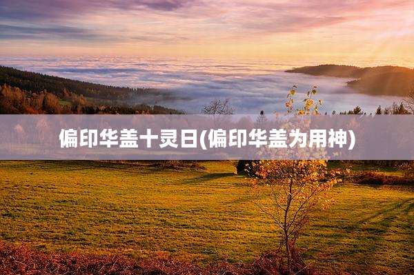 偏印华盖十灵日(偏印华盖为用神)