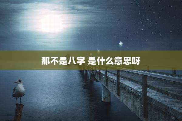 那不是八字 是什么意思呀