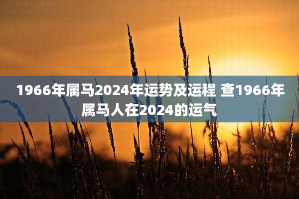 1966年属马2024年运势及运程 查1966年属马人在2024的运气