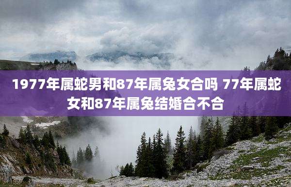 1977年属蛇男和87年属兔女合吗 77年属蛇女和87年属兔结婚合不合