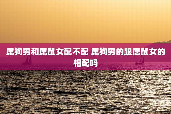 属狗男和属鼠女配不配 属狗男的跟属鼠女的相配吗