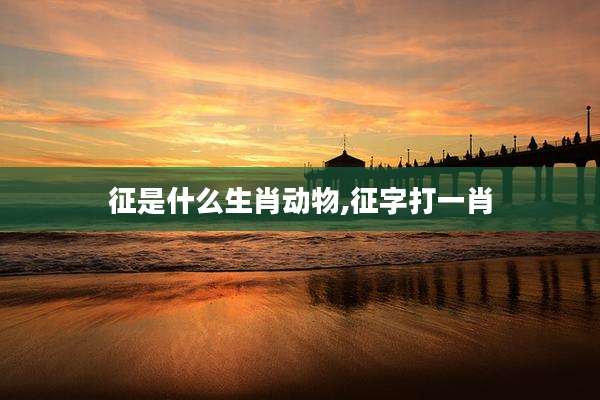 征是什么生肖动物,征字打一肖