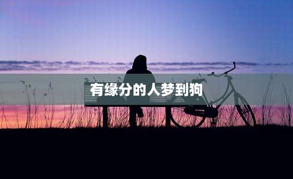 有缘分的人梦到狗