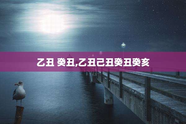 乙丑 癸丑,乙丑己丑癸丑癸亥