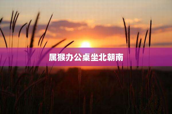 属猴办公桌坐北朝南