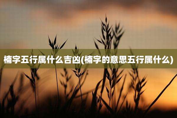 楠字五行属什么吉凶(楠字的意思五行属什么)