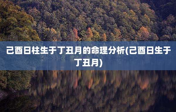 己酉日柱生于丁丑月的命理分析(己酉日生于丁丑月)