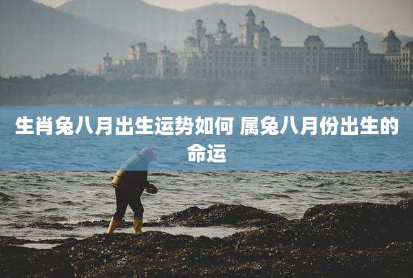 生肖兔八月出生运势如何 属兔八月份出生的命运