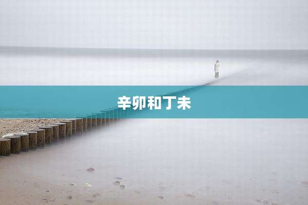 辛卯和丁未