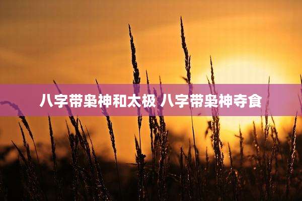 八字带枭神和太极 八字带枭神夺食