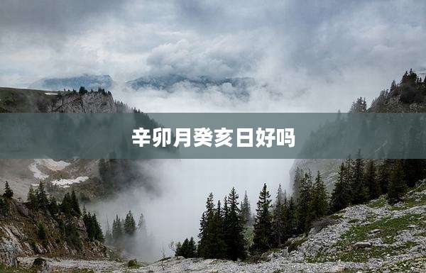辛卯月癸亥日好吗